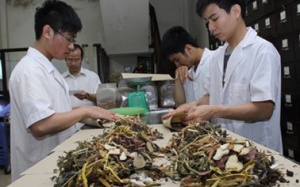 Vận dụng ngũ vị chữa bệnh